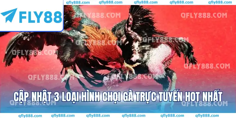 Cập nhật 3 loại hình chọi gà trực tuyến hot nhất Cập nhật 3 loại hình chọi gà trực tuyến hot nhất