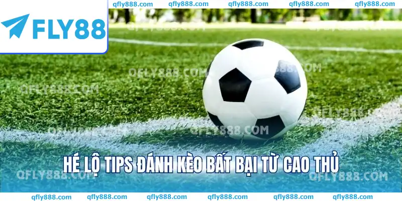 Hé lộ tips đánh kèo bất bại từ cao thủ